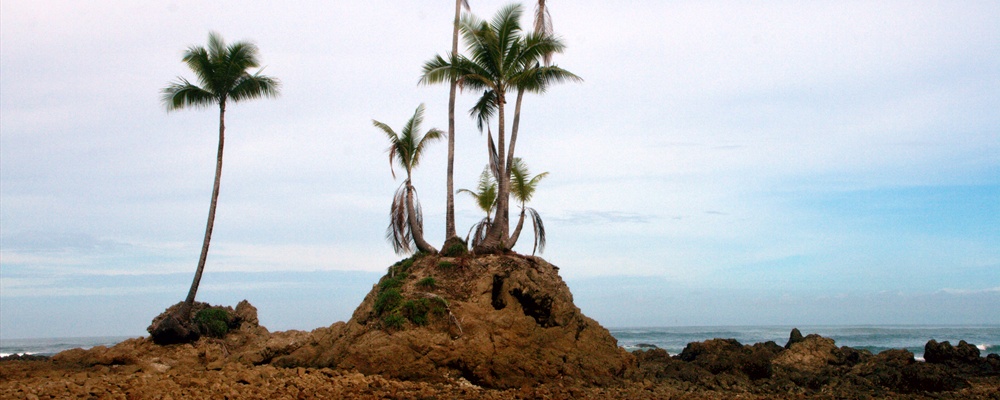 At low tide this island appeared